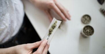 Going Beyond the Leaf: How a Branding Agency Can Differentiate Your Cannabis Business
