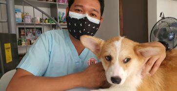 Vet Today for Complete Pet Health and Wellness
