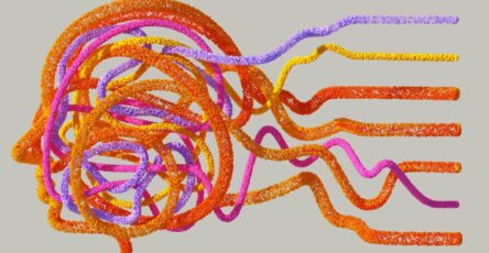 Nervous System